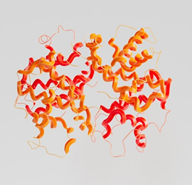 A full bowl of nuts and fruits